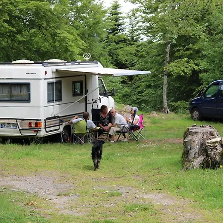 캠프장 Camping Les Myrtilles 클레르몽페랑